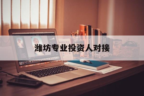 海晏县西海镇潍坊专业投资人对接(潍坊专业投资人对接中心)