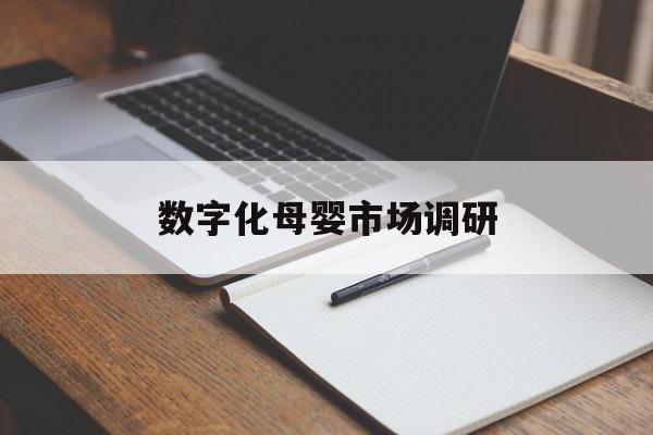 海晏县西海镇数字化母婴市场调研(数字化母婴市场调研报告)